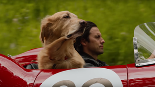 Behold the Probably Tear-Inducing First Trailer for <i>The</i> <i>Art of Racing in the Rain</i>